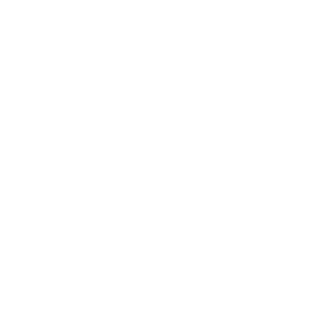 brunozzi